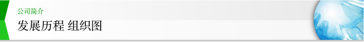 公司简介 Profile 公司发展组织图