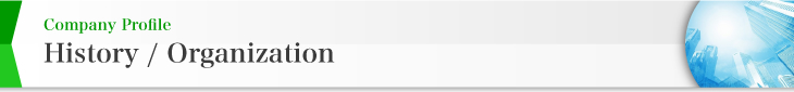 Company Profile History / Organization