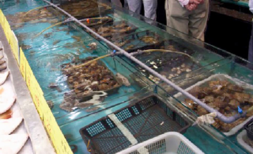 生け簀用イメージ