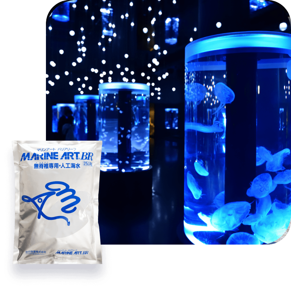 マリンアートBRイメージ
