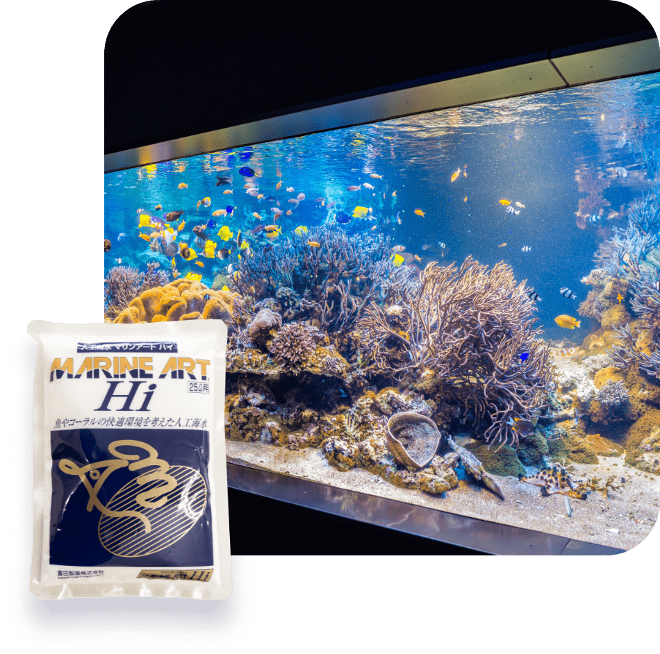 マリンアートイメージ