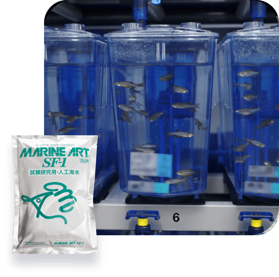 マリンアートSF-1のイメージ